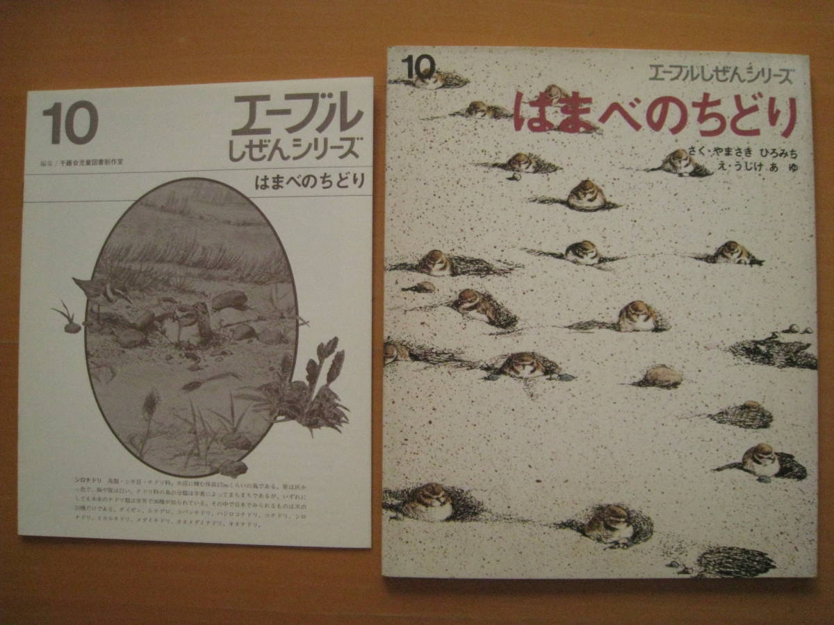 はまべのちどり/山崎博道/氏家あゆ/エーブルしぜんシリーズ/千趣会/昭和レトロ絵本/1972年/シロチドリ/千鳥/解説・小林桂助_画像1