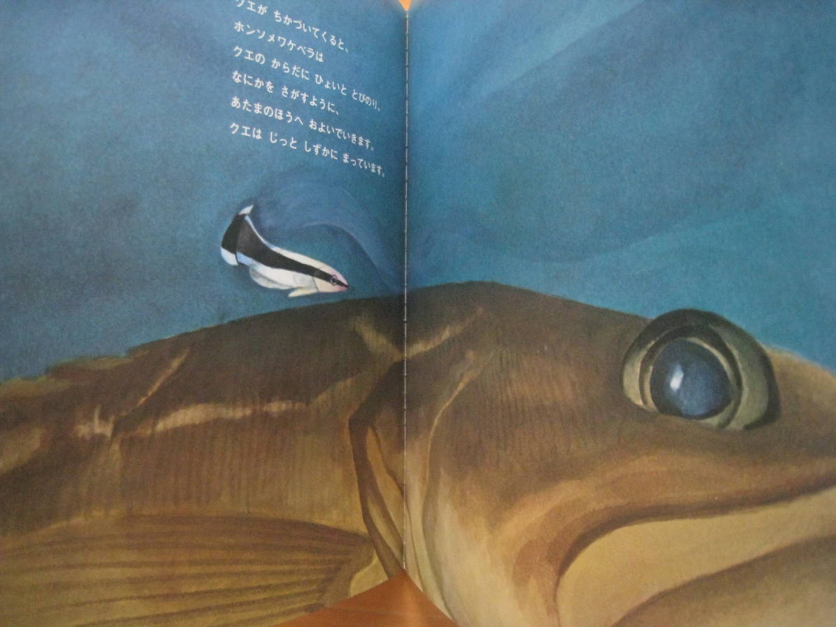 ほんそめわけべら/奥野良之助/田中徳喜/エーブルしぜんシリーズ ほんそめわけべら/奥野良之助/田中徳喜/エーブルしぜんシリーズ