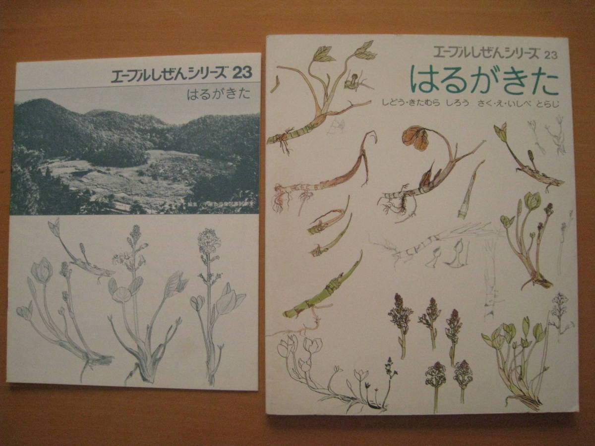 はるがきた/石部虎二/北村四郎/エーブルしぜんシリーズ/千趣会/昭和レトロ絵本/1973年/ミツガシワ/京都・深泥池/四季/植物/春が来た/浮島_画像1