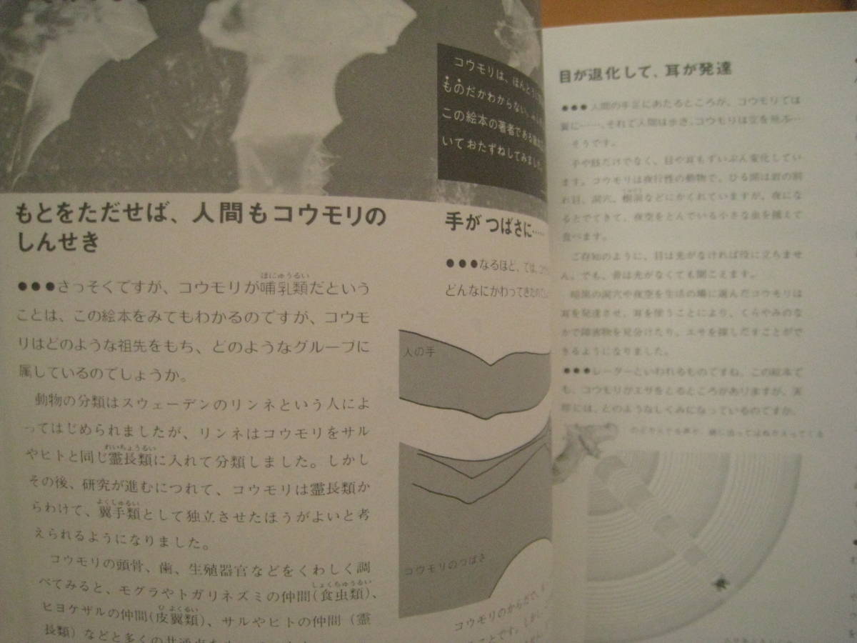 どうくつのこうもり/庫本正/清水勝/内田照章/エーブルしぜん どうくつのこうもり/庫本正/清水勝/内田照章/エーブルしぜん
