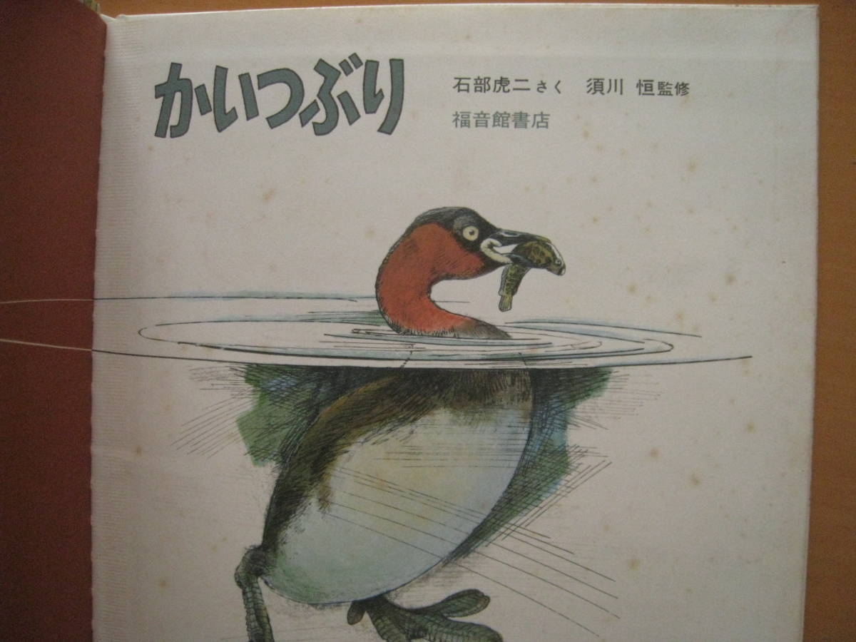 かいつぶり/石部虎二/須川恒/1986年/かがくのとも傑作集/ハードカバー/カイツブリ/生活/子育て/成長/昭和レトロ絵本/鳥_画像4