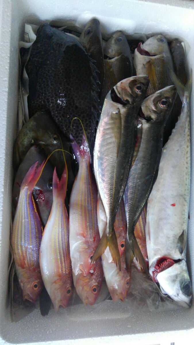 釣りもの鮮魚BOX_画像7