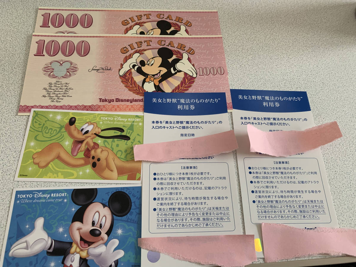 最高の品質の ディズニーランドチケット ディズニーランド専用券 最高の品質の ディズニーランドチケット ディズニーランド専用券
