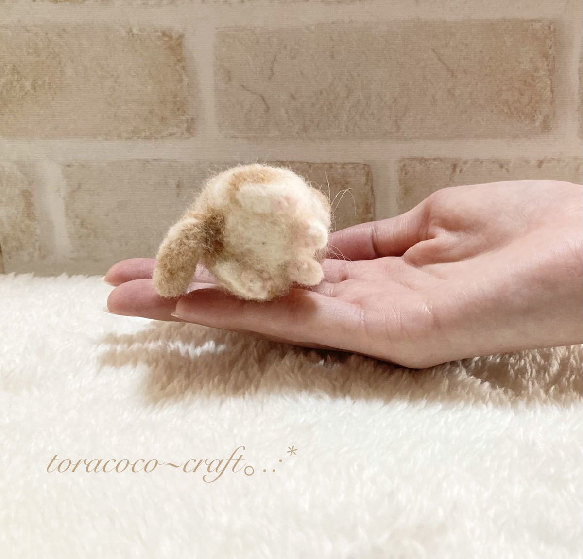 toracoco~craft 羊毛フェルト　ハンドメイド　エキゾチックショート　ブサかわ　ドールサイズ_画像6