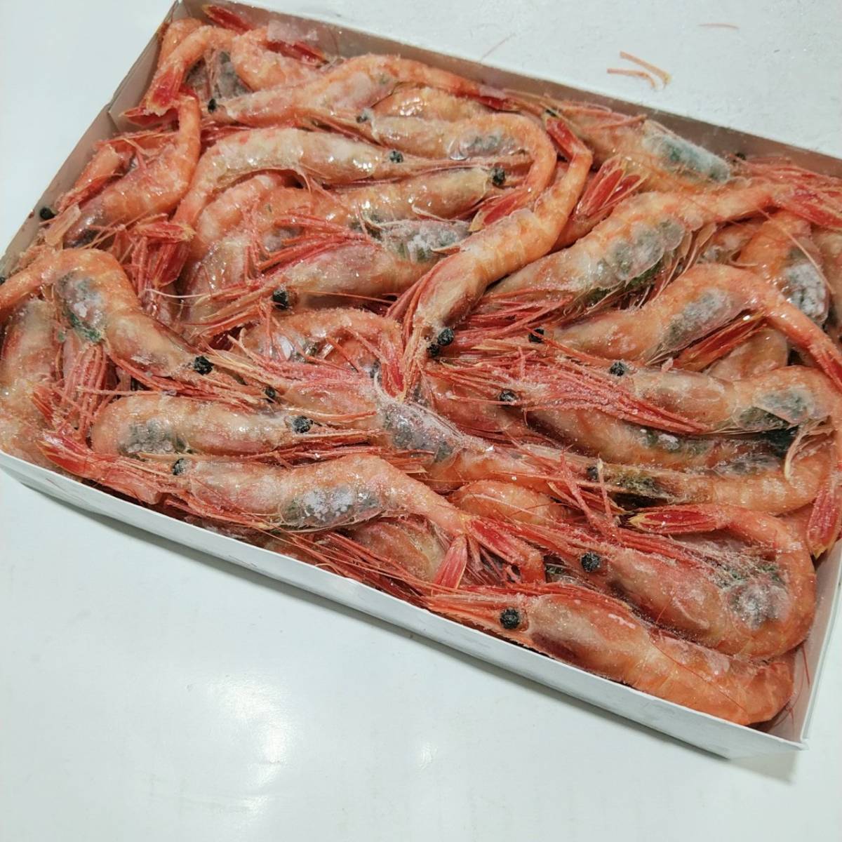 1円～２個出品！【生食用 甘海老】大量1ｋｇセット お刺身/寿司ネタOK！ エビ カナダ産 Ｍサイズ 甘えび ギフト/お贈り物にもお勧めです。_画像4