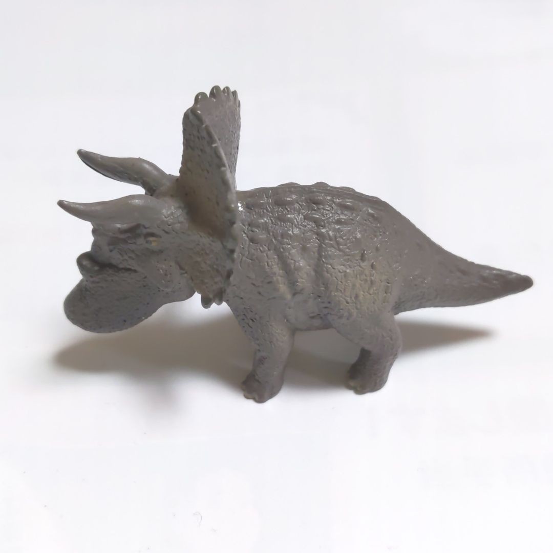 恐竜の歯 トリケラトプス  [TR96] 化石