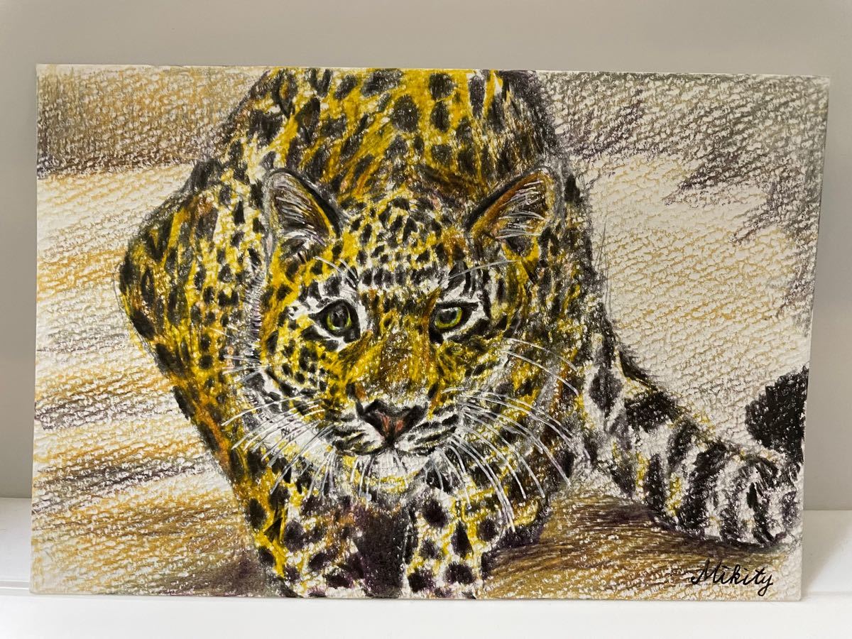 色鉛筆画　ポストカード　絵葉書　ヒョウ　ひょう　豹　真作　手書きイラスト　原画　絵画　動物画