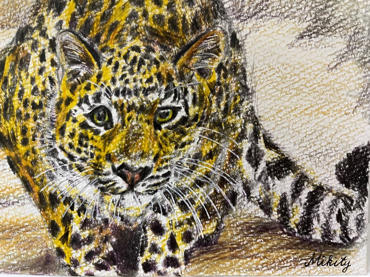 色鉛筆画　ポストカード　絵葉書　ヒョウ　ひょう　豹　真作　手書きイラスト　原画　絵画　動物画