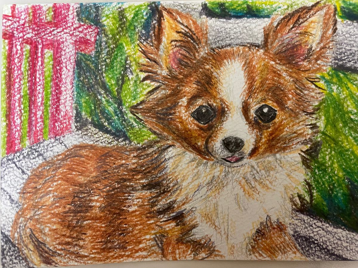 Paypayフリマ 色鉛筆画 ポストカード 絵葉書 手描きイラスト 真作 1点もの 犬 イヌ いぬ チワワ 動物画 原画 絵画 犬イラスト