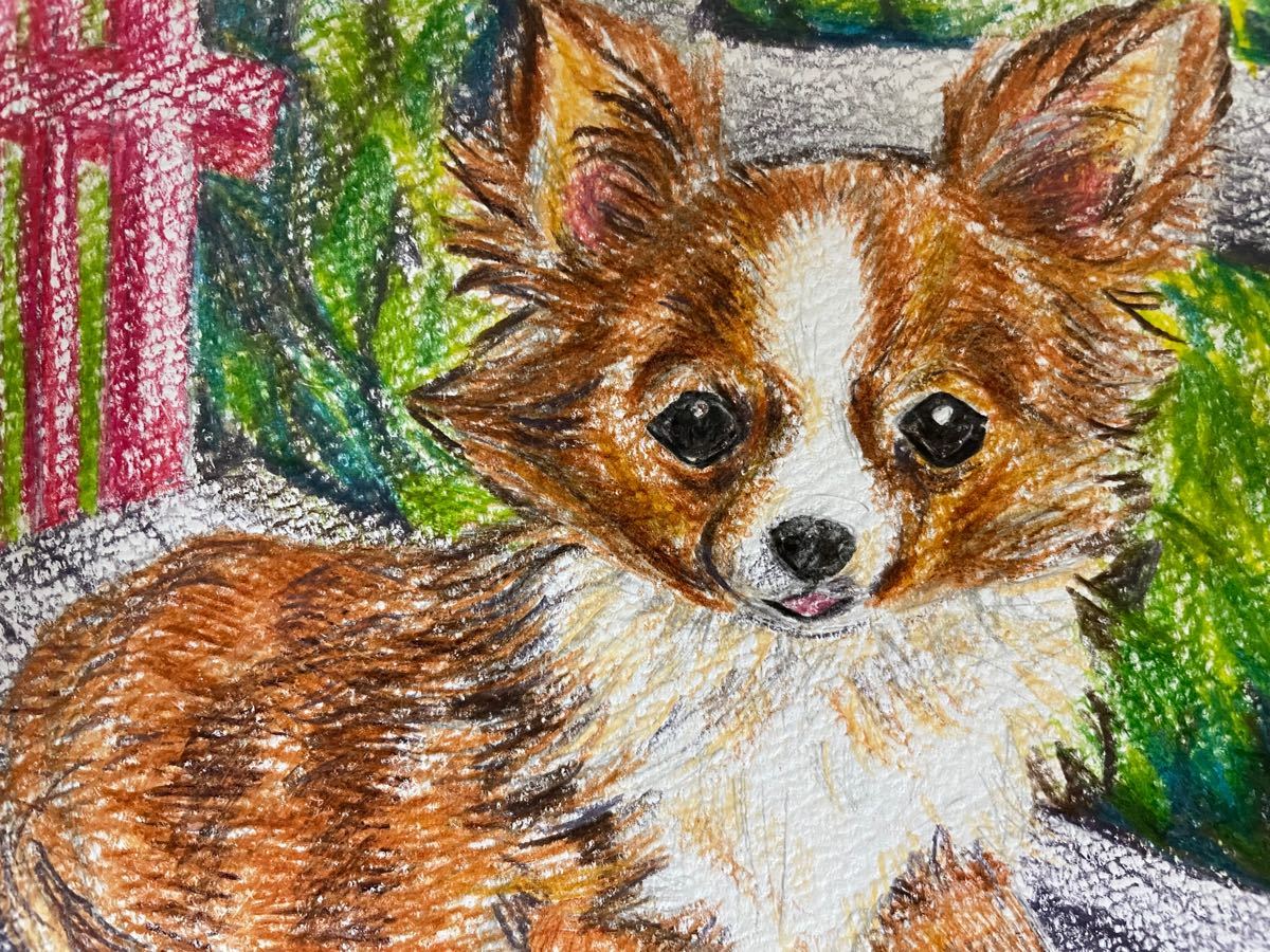 Paypayフリマ 色鉛筆画 ポストカード 絵葉書 手描きイラスト 真作 1点もの 犬 イヌ いぬ チワワ 動物画 原画 絵画 犬イラスト