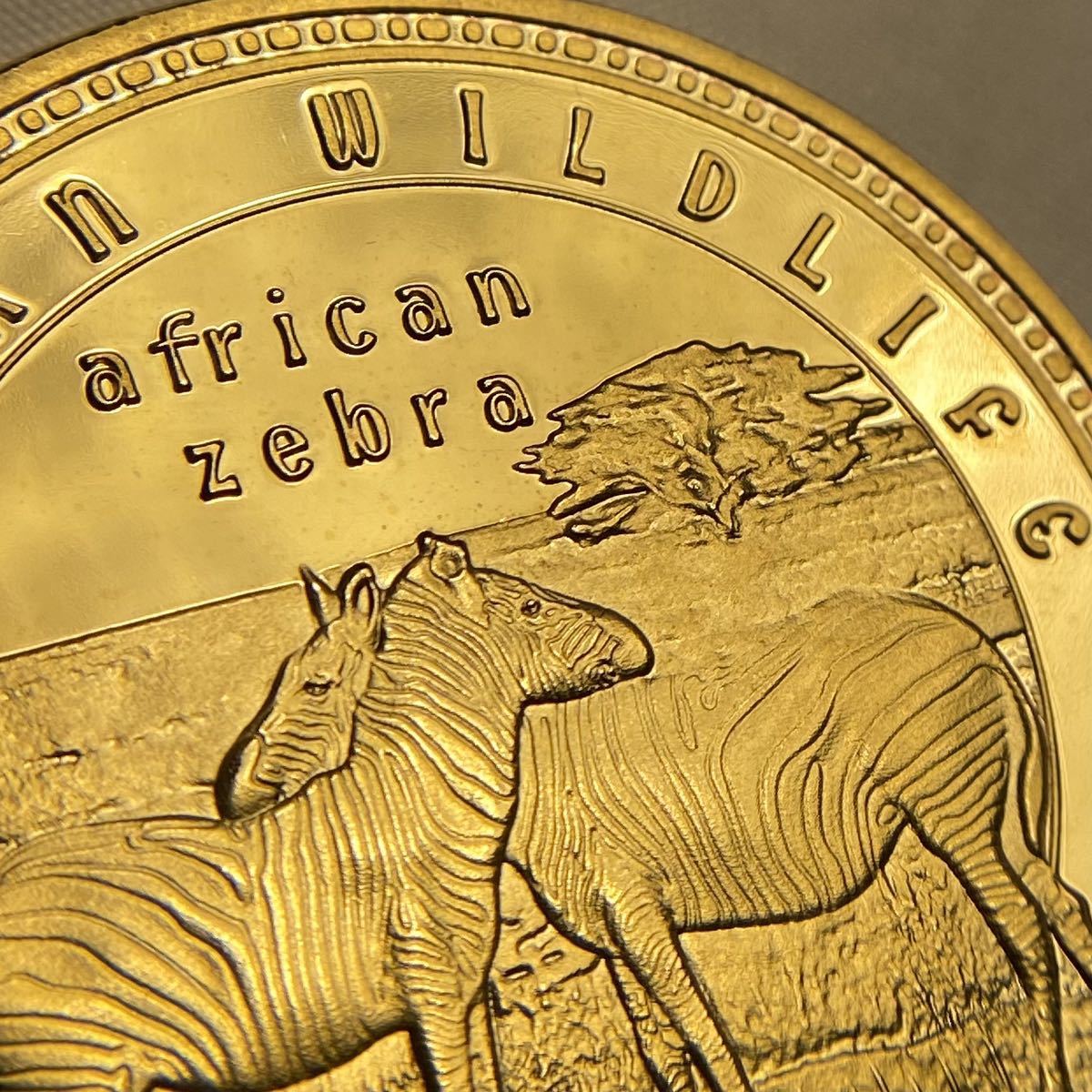 #I016 ザンビア古銭　ゼブラ 野生動物 2015 10000クワチャ　コイン 旧家蔵出 　金貨　金幣　直径約40mm厚さ約3.3mm量目約28.89g　希少_画像3