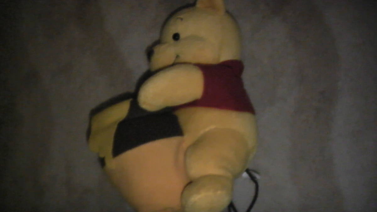 くまのプーさん　ぬいぐるみ　約20cm Winnie-the-Pooh stuffed 送料無料_画像3