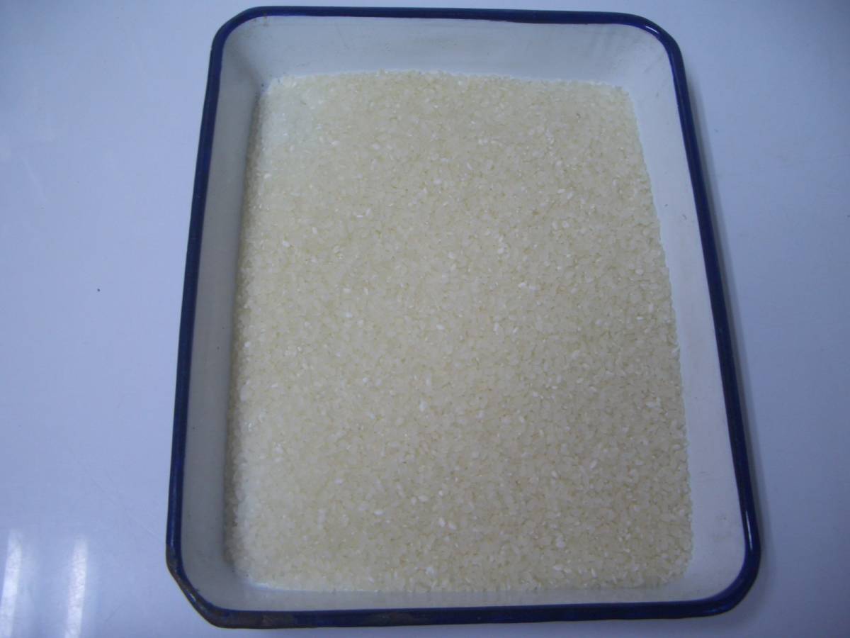 ★熊本県産菊池米令和3年産ヒノヒカリ★5㎏　白米　食べ比べ_画像3
