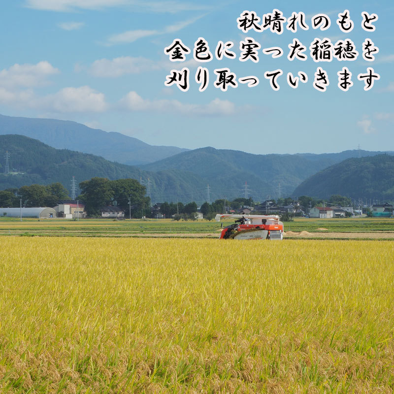 令和３年産　氷河米　ミルキークイーン　玄米１０ｋｇ　山形県 庄内産 送料無料！《即決価格で落札された方には特典付き！！》_画像8