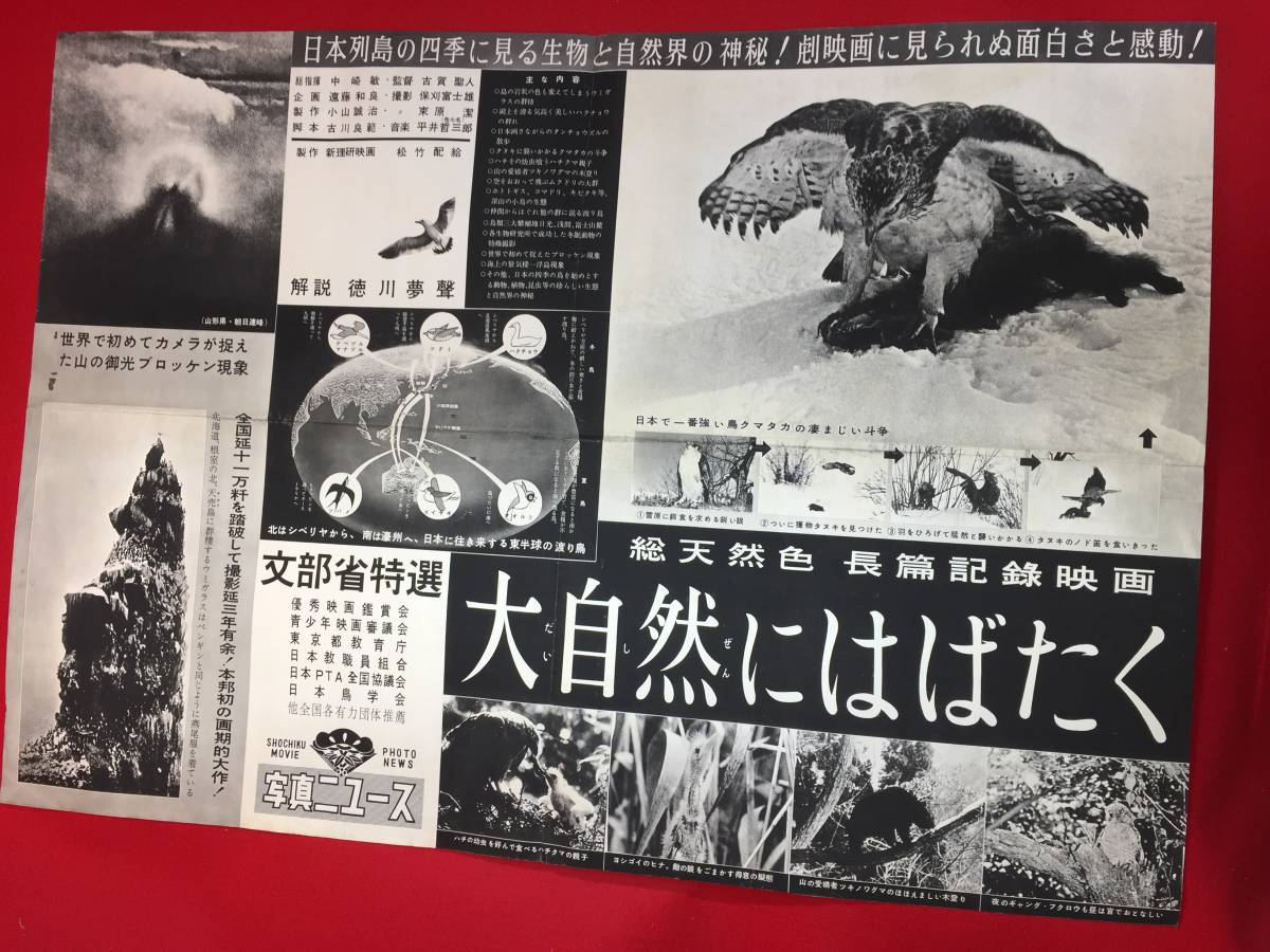 2024年最新海外 ub48161『大自然にはばたく』B2判ポスター 古賀聖人 古川良範 平井哲三郎 徳川夢声 その他