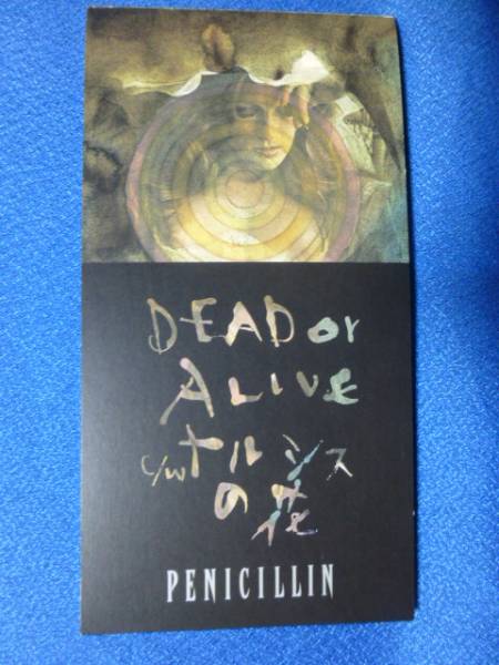 8cmCD◆PENICILLIN　DEAD OR ALIVE／ナルシスの花／マザー・グース　◆短冊形プラケース付　2901_画像3