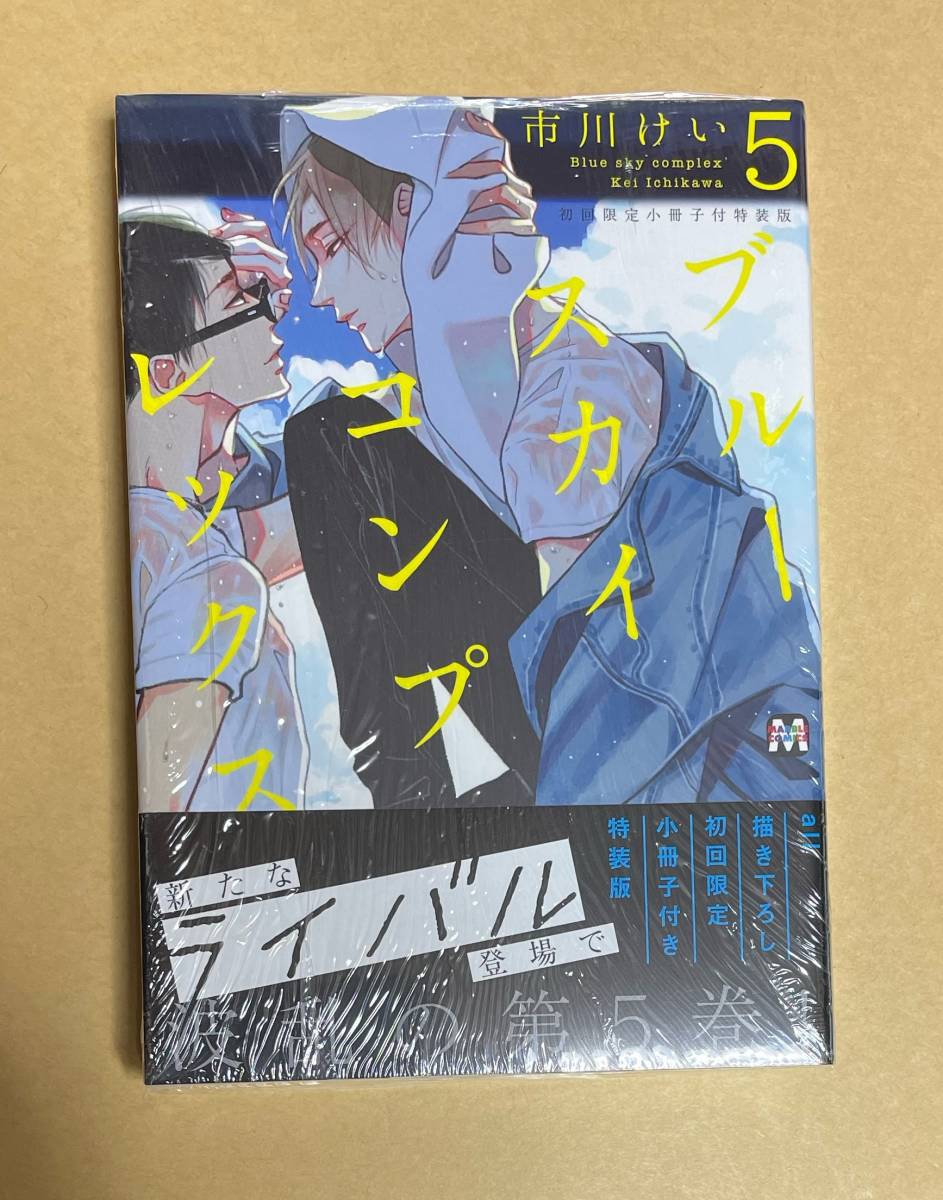 立身流之形・第一巻/立身流は戦国時代に興った流派で立身三京が 立身流之形・第一巻/立身流は戦国時代に興った流派で立身三京が