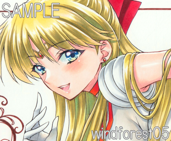 セーラーヴィーナス》 直筆 同人 手描きイラスト A4 ケント紙 の セーラーヴィーナス》 直筆 同人 手描きイラスト A4 ケント紙 の