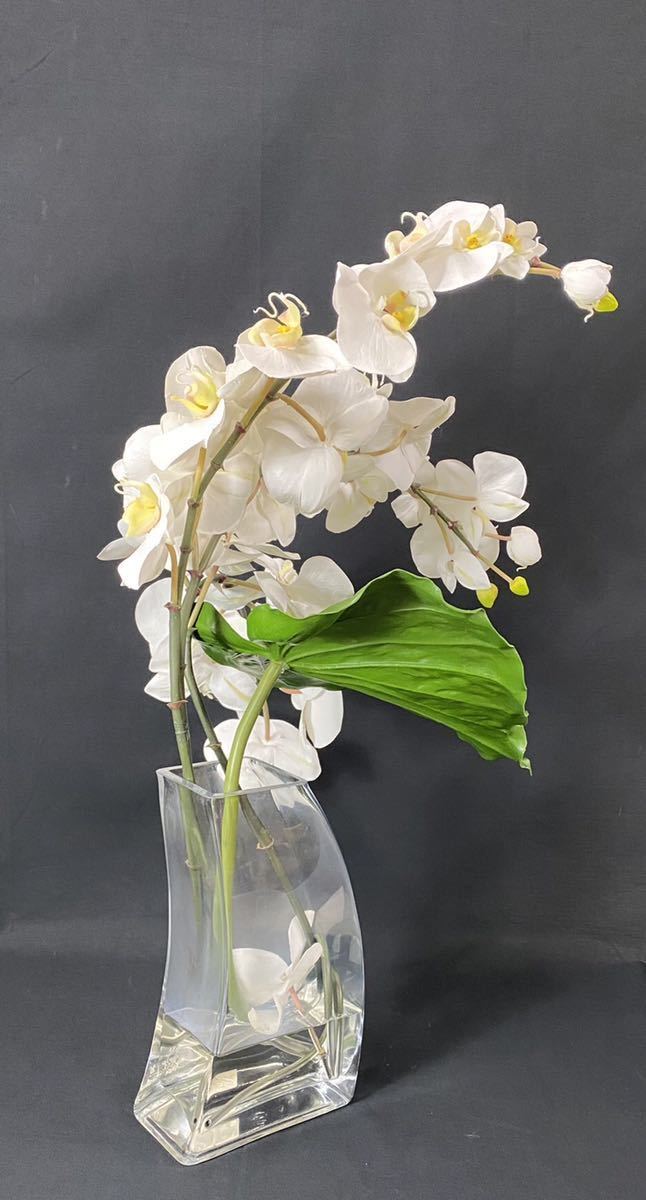 売れ筋アイテムラン 胡蝶蘭 大 和風 紫 エミリオロバ アートフラワー 造花 斑点 植物 観葉植物 Www Vasavihospitals Com 売れ筋アイテムラン 胡蝶蘭 大 和風 紫 エミリオロバ アートフラワー 造花 斑点 植物 観葉植物 Www Vasavihospitals Com
