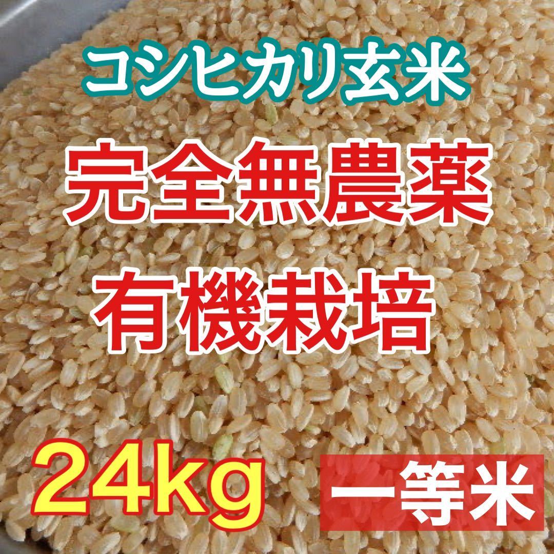 完全無農薬有機栽培 24キロ 『一等米』令和3年 新米 コシヒカリ玄米 美味しい実家のお米 発芽玄米になります！送料無料！ 