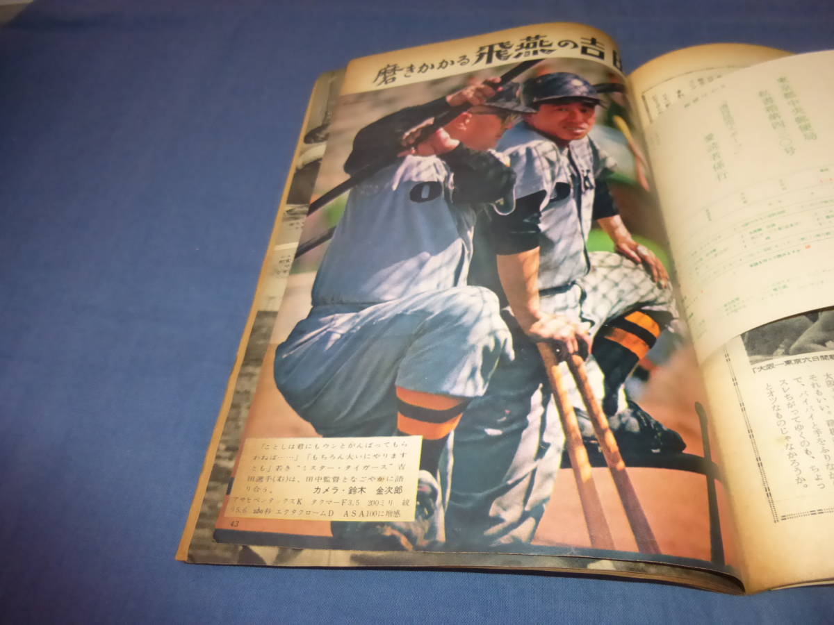 「週刊読売スポーツ」1959年（昭和34年）長嶋茂雄/　巨人黄金時代への三人男（広岡・藤尾・堀内）プロ野球_画像6