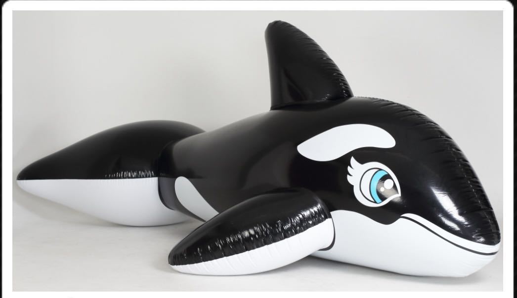 半額 シャチ ブルー 3m フロート 空気ビニール風船 浮き輪 レア 限定品 キャラクターグッズ Www Lycee Charlesdefoucauld Fr 半額 シャチ ブルー 3m フロート 空気ビニール風船 浮き輪 レア 限定品 キャラクターグッズ Www Lycee Charlesdefoucauld Fr