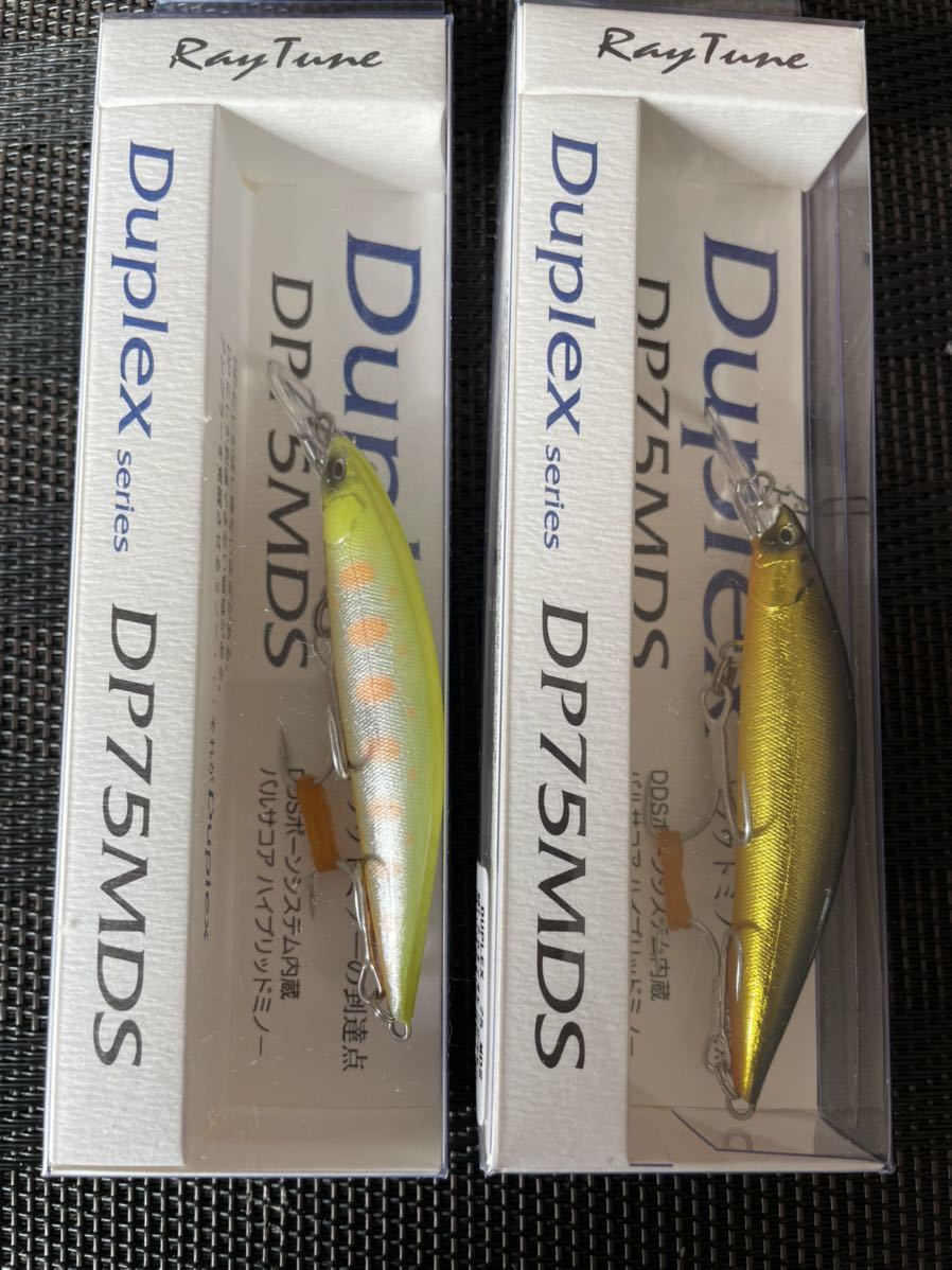 レイチューン DP50RS 2個