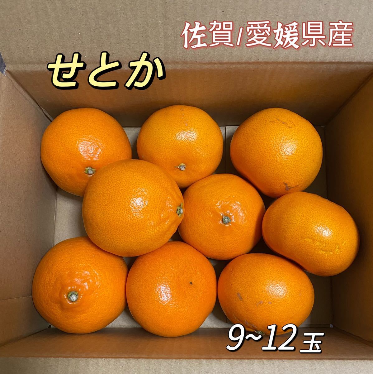 せとか　佐賀/愛媛県産　9～12玉　約2kg 柑橘　みかん_画像1