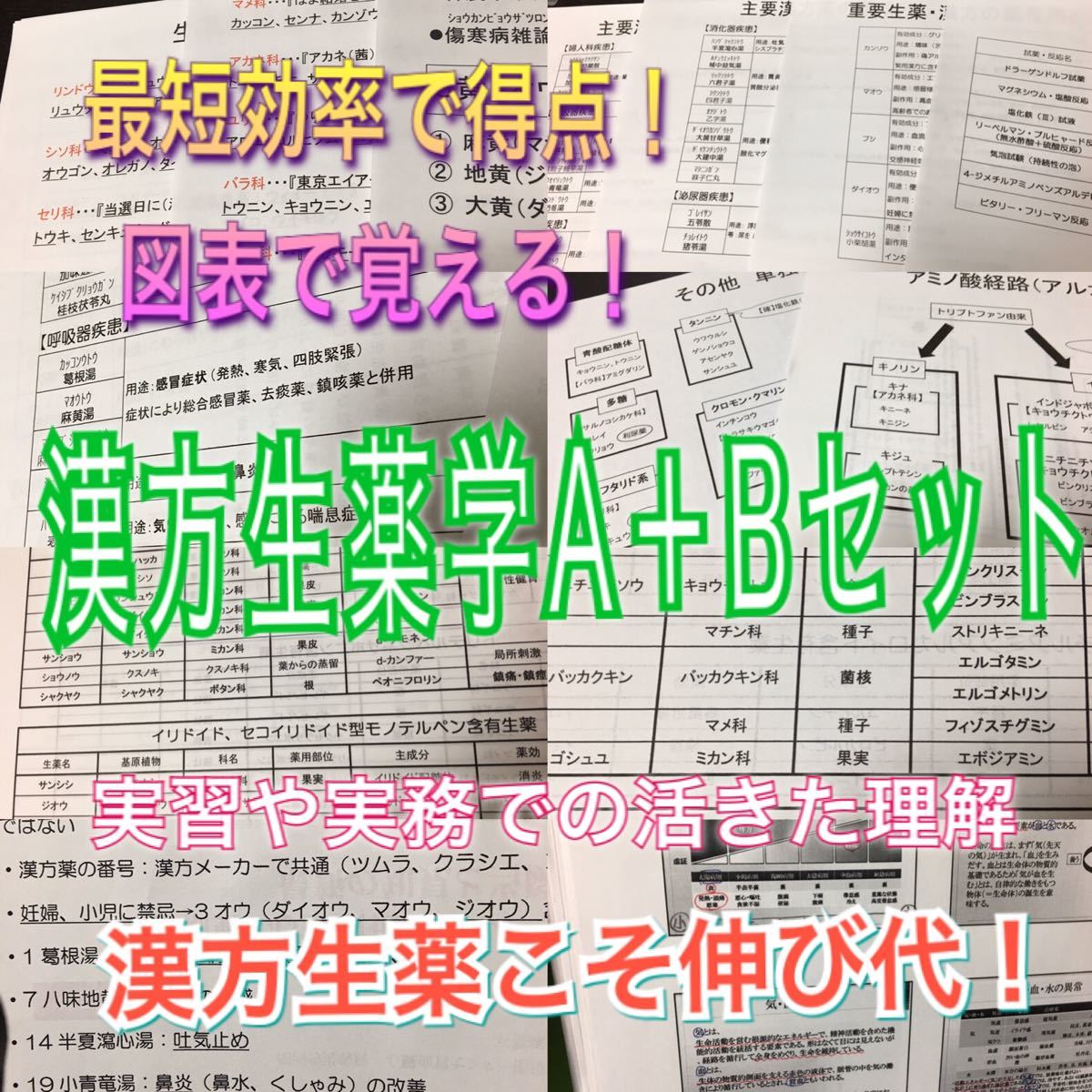 薬剤師国家試験、CBT、定期試験対策シリーズ【漢方生薬A +B】まとめセット