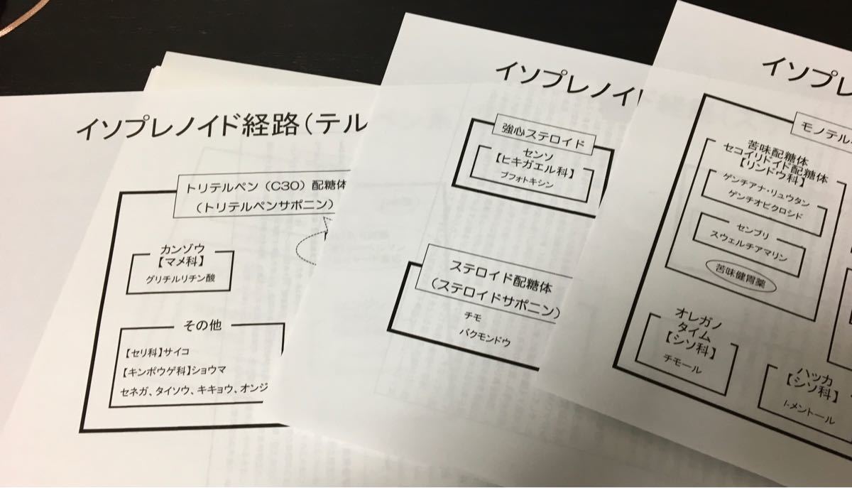 薬剤師国家試験、CBT、定期試験対策シリーズ【漢方生薬A +B】まとめセット