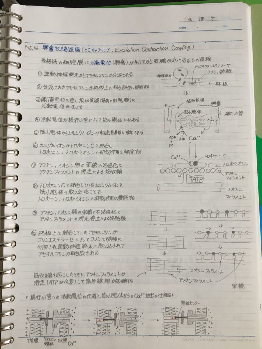 臨床工学技士 授業ノート まとめ 臨床工学技士 言語聴覚士国家試験 定期試験対策シリーズ【生理学