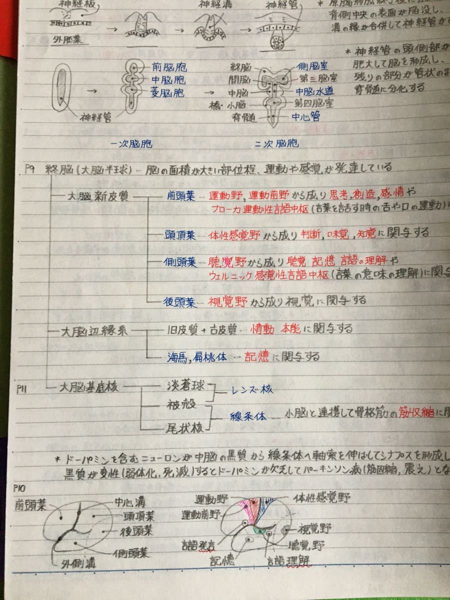 栄養士 臨床検査技師国家試験 定期試験対策シリーズ【生理学A+B 栄養士 臨床検査技師国家試験 定期試験対策シリーズ【生理学A+B