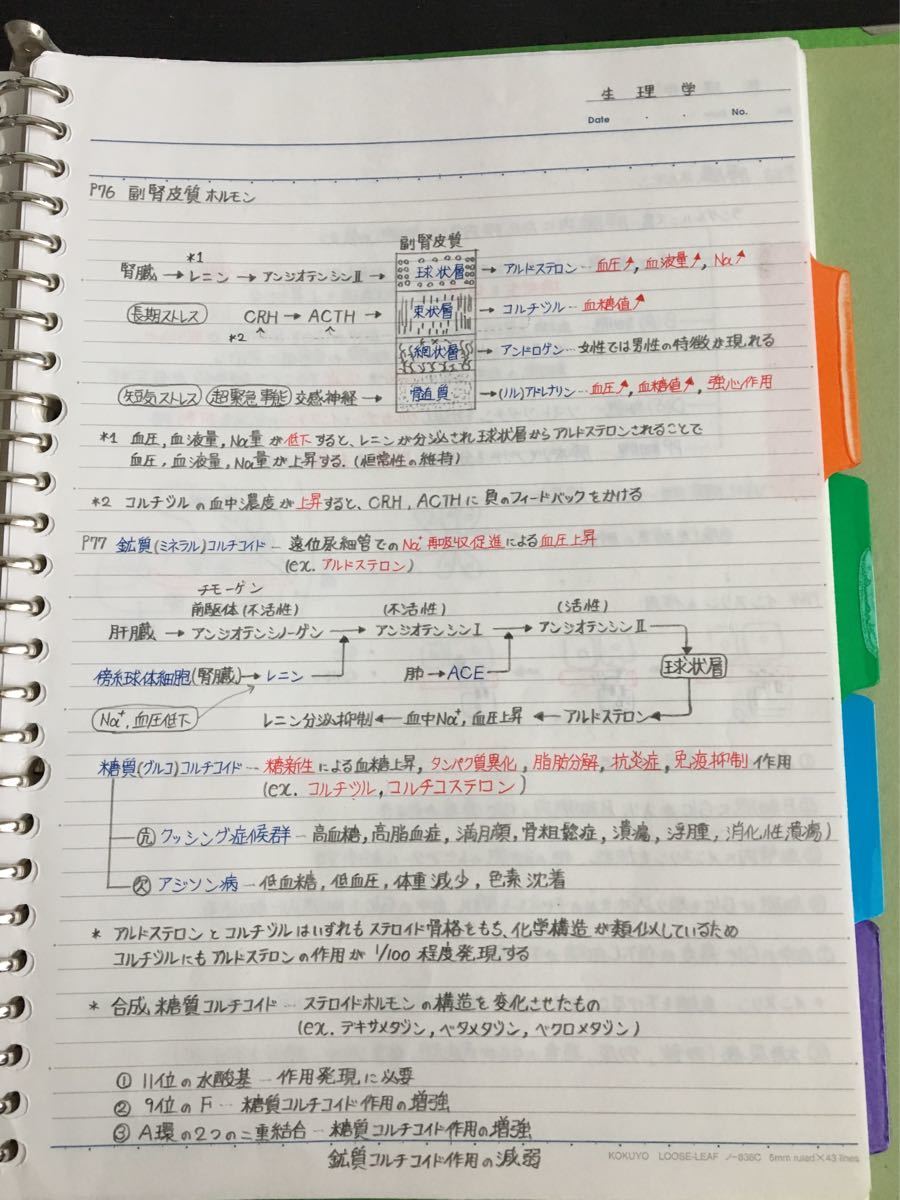 薬剤師国家試験、CBT、薬学部定期試験対策シリーズ【生理学A】まとめノート