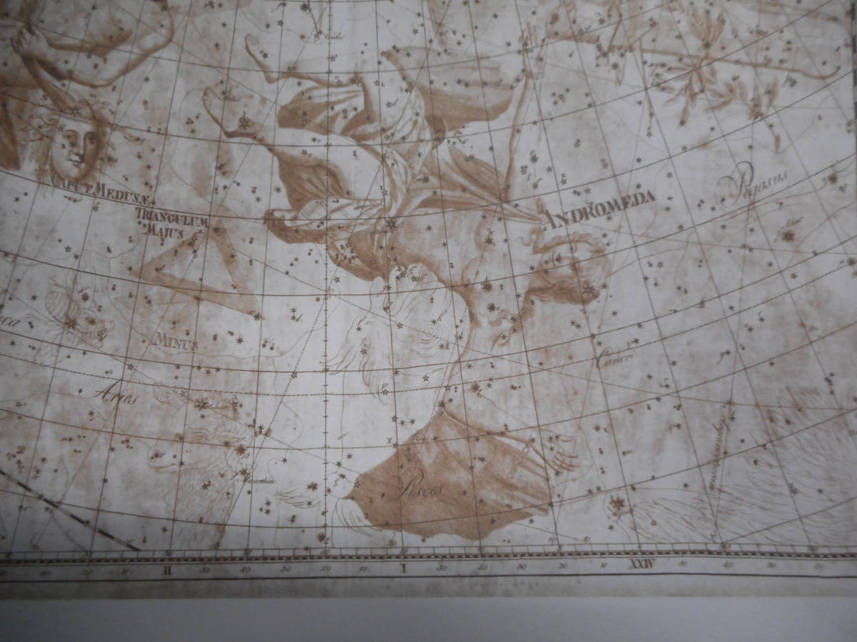 即決アンティーク天球図天文、Astronomy星座早見盤、1801年復刻『ボーデの星図ウラノグラフィア』 Star map, Planisphere, Celestial atlas - 天文、宇宙 即決アンティーク天球図天文、Astronomy星座早見盤、1801年復刻『ボーデの星図ウラノグラフィア』 Star map, Planisphere, Celestial atlas - 天文、宇宙