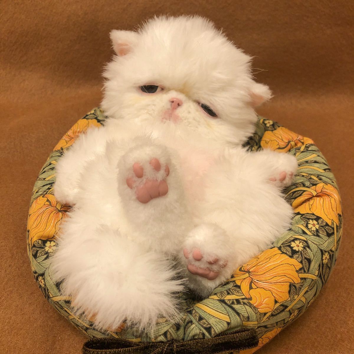 ochamemo○△□ 可動 アートドール テディキャット テディベア ochamemo○△□ 可動 アートドール テディキャット テディベア