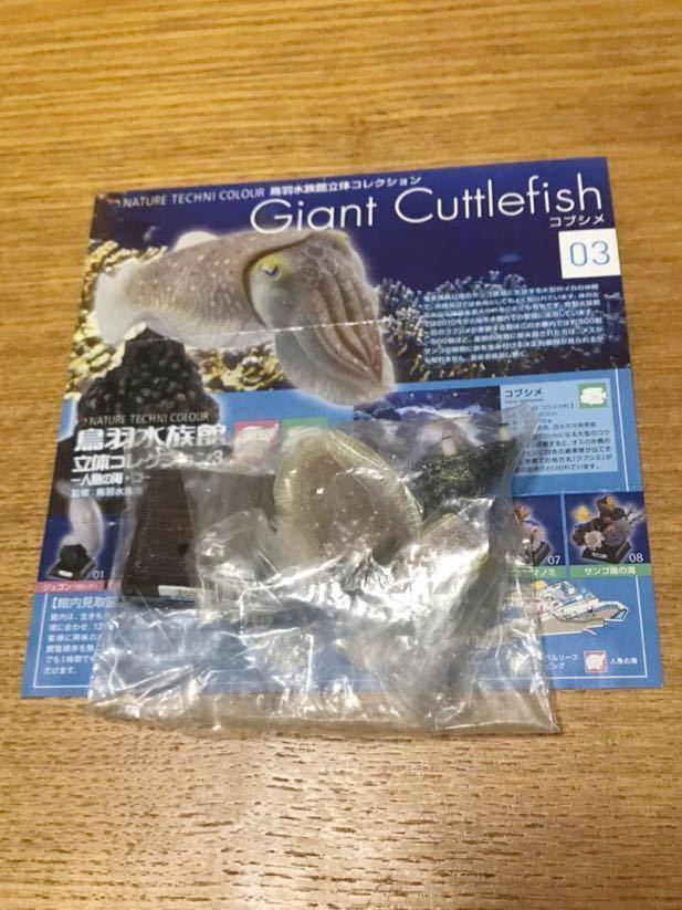ネイチャーテクニカラー 鳥羽水族館立体コレクション3 初版 7種
