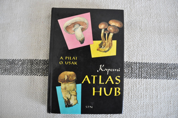  Czech *.. . illustrated reference book ATLAS HUB/1962 year [5150]