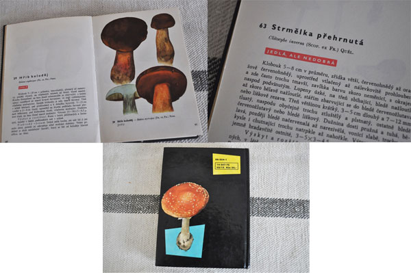  Чехия *.. . иллюстрированная книга ATLAS HUB/1962 год [5150]