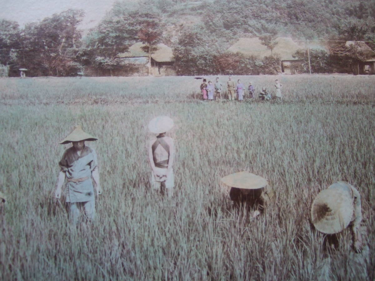 90 年のベトナムの田舎の油絵 絵画 | challengesnews.com