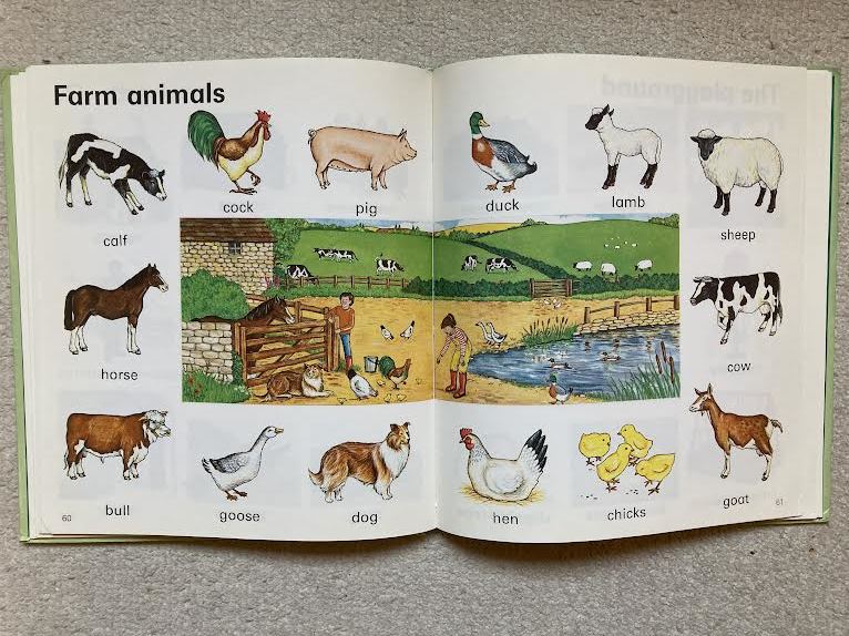  Vintage для малышей английское слово учебник *WORDS/Words And Pictures 2 шт. комплект 