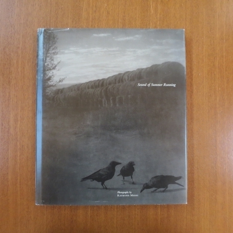 【期間限定】 review art parkett 芸術新潮 写真集■美術手帖 レイモンド・ミークス news Meeks Raymond Running Summer of Sound IMA アート写真 【期間限定】 review art parkett 芸術新潮 写真集■美術手帖 レイモンド・ミークス news Meeks Raymond Running Summer of Sound IMA アート写真