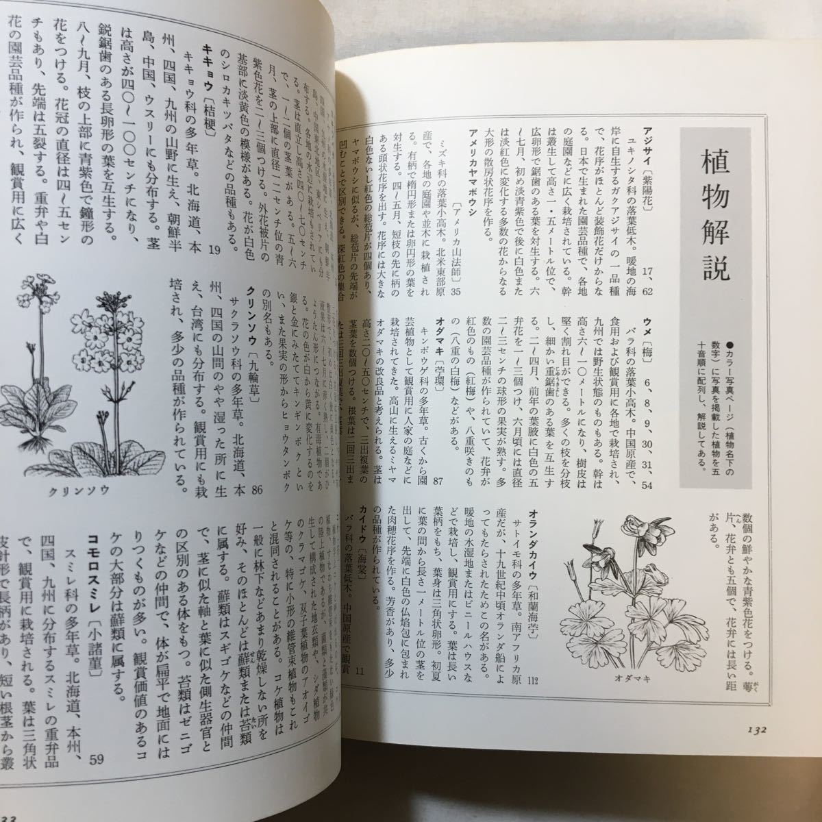 zaa-284♪花の歳時記〈7〉古寺名園の花―東日本 1982/11/1小学館　単行本_画像7