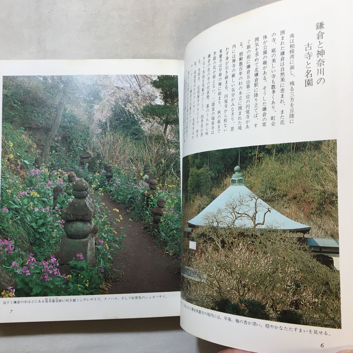 zaa-284♪花の歳時記〈7〉古寺名園の花―東日本 1982/11/1小学館　単行本_画像3