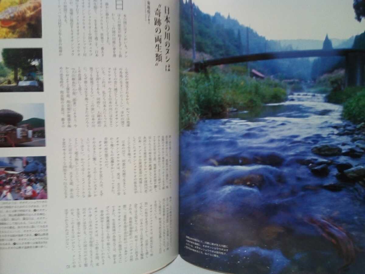 週刊日本の天然記念物35オオサンショウウオ 日本産両生類 奈良県 週刊日本の天然記念物35オオサンショウウオ 日本産両生類 奈良県