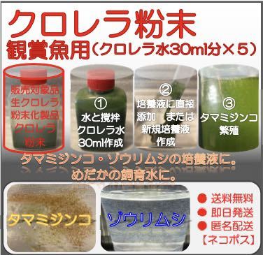 生クロレラ粉末化商品 クロレラ水30ml分×5 タマミジンコ ワムシ ゾウリムシ培養 めだか飼育水 グリーンウォーター ビール酵母 取り扱い_画像1