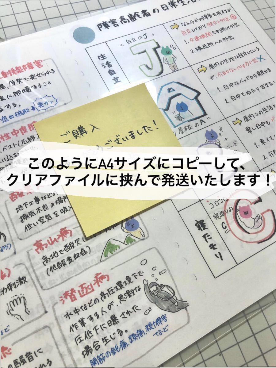 レビューブックに 】看護学生 国試対策 解剖生理学まとめノート｜Yahoo