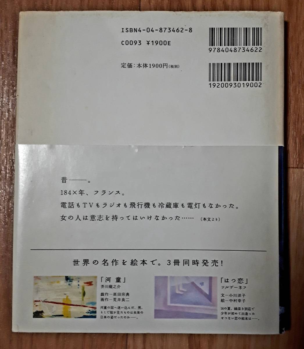 ★ボヴァリー夫人★ギュスターヴ・フローベール:著★姫野カオルコ:著★木村タカヒロ:絵★角川書店★平成15年4月10日初版発行★送料無料