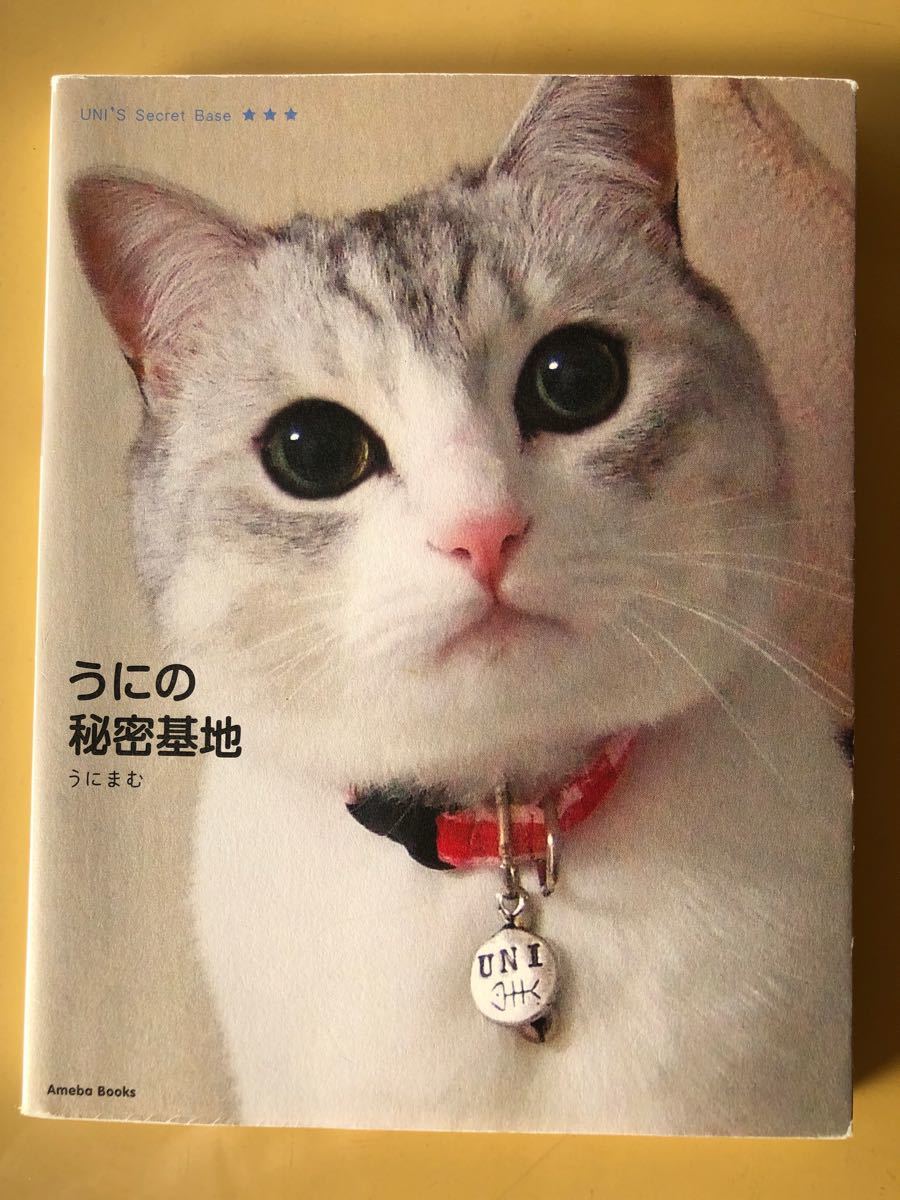 Paypayフリマ うにの秘密基地 うにまむ アメーバブックス 幻冬舎 ネコの写真集 ねこ 猫 Paypayフリマ うにの秘密基地 うにまむ アメーバブックス 幻冬舎 ネコの写真集 ねこ 猫