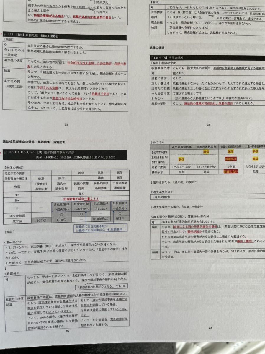 紙媒体 司法試験合格者使用の自作論証集-