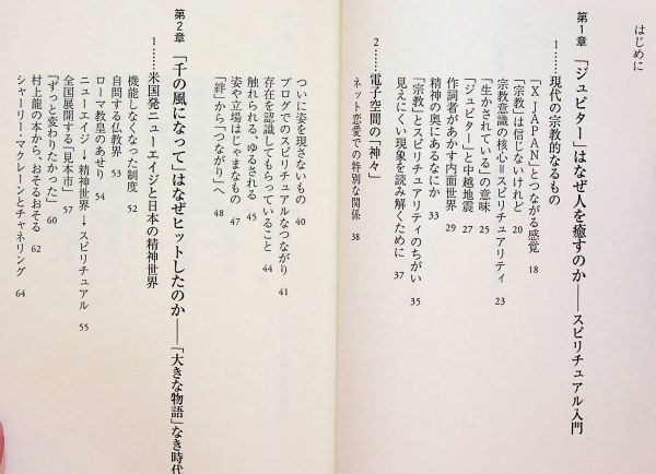 送料無★本2冊… はなぜ流行るのか、スピリチュアルにハマる人、ハマらない人、中古 #1230_画像6